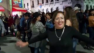 Chihuahua Bailando con Musical Milagro🕺💃