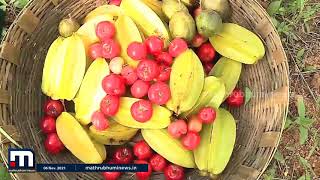 ബം​ഗളൂരുവിലെ ഭക്ഷ്യ വനം - കൃഷിഭൂമി| Mathrubhumi News