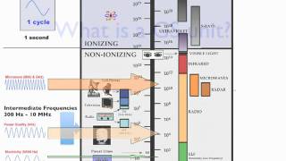 Dirty Electricity Explained