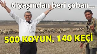 6 yaşından beri çoban... / 500 KOYUN, 140 KEÇİ! - Çobanla Baş Başa