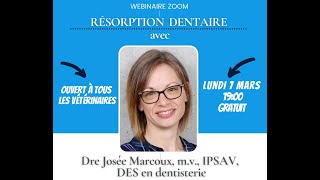 Webinaire sur la résorption dentaire vétérinaire avec Dre Josée Marcoux 7mars2022