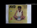 Vulindlela - African Youth Band