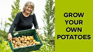 Is It Too Late to Plant Potatoes? | Abundance in the vegetable garden