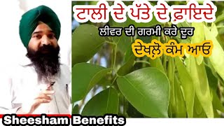 Sheesham Benefits| #Part_1 | Benefits Of Sheesham Tree Leaves | ਟਾਲੀ ਦੇ ਪੱਤੇ ਖਾਣ ਦੇ ਫਾਇਦੇ