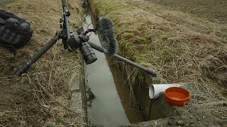 高速脇の小さな水路でタナゴ釣り4