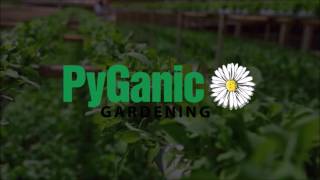 Pyganic® Gardening