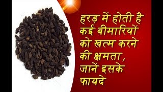 Myrobalan has the ability to cure many diseases, know its benefits