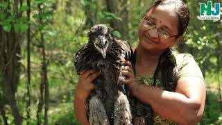 Bald Eagle Project