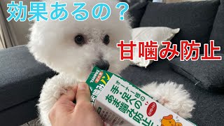 犬の甘噛み防止グッズって効果あるの？あま噛みノンを試してみました【ビションフリーゼ】