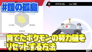 【ポケモン剣盾】鎧の孤島で育てたポケモンの努力値をリセットする方法！まっさらおねえさん！【ポケモンソードシールド/ポケットモンスター】