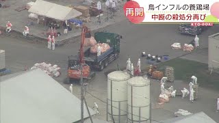 高病原性鳥インフルエンザ検出の養鶏場で殺処分再開　硫化水素発生で一時中断　北海道白老町