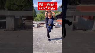 සටන් කලා# කොරියානු බසින්