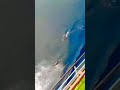 amezing sea fish racing by sea seap 🐟 shorts shorts viral