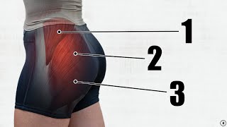 How To Grow Your Glutes (5 BEST Exercises + Gluteal Amnesia Myth Busting)
