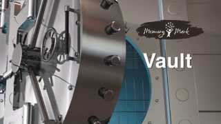 Memory Mark: Vault