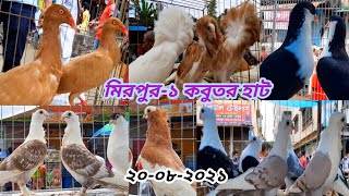 Biggest fancy pigeon market update pigeon price | Mirpur 1 Kabutar hat | Unique and Amazing pigeon