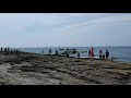 해수욕도 하고 꽃게도 잡고 채석강 변산 격포해수욕장 blue crab at the beach