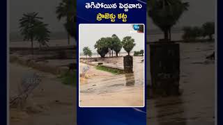 Peddavagu Project Broken Due to Heavy Flood  | తెగిపోయిన పెద్దవాగు ప్రాజెక్టు కట్ట | ZEE Telugu News