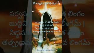 లింగాష్టకం (తాత్పర్యం)🙏lyrics in Description