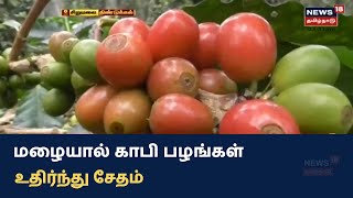 Dindigul Sirumalai | தொடர் மழையால் \