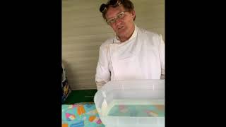 Bear Elective Super Science