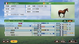 【ウイニングポスト9　2021】スズパレードを活躍させて海外幼駒購入イベントの発生を目指す（1984年シナリオ②）