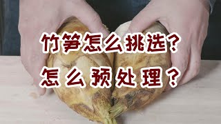 怎么挑选竹笋？买来的竹笋怎么处理才能放的时间长一点？