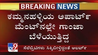 Bengaluru Hydro Ganja Case: ಕಮ್ಮನಹಳ್ಳಿಯ Apartment​ನಲ್ಲೇ ಗಾಂಜಾ ಬೆಳೆಯುತ್ತಿದ್ದ ಆರೋಪಿ ಜವಾದ್ ರೋಸ್ಟಂಪೌರ್