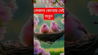 কোন যায়গায় সেজদা দেই শুনুন//Listen to Sajda dei in any place #foryou #viralvideo #youtubeshorts