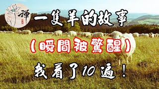 佛禪：一隻羊的故事，瞬間被驚醒，我看了10遍！