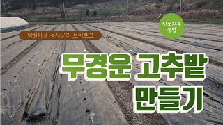 무경운 고추밭 만들기 어떻게 할까요