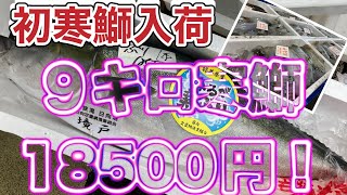 『寒鰤キターーーー、初物にしては安い！』令和6年11月21日の激安魚屋@福井県敦賀市相木魚問屋