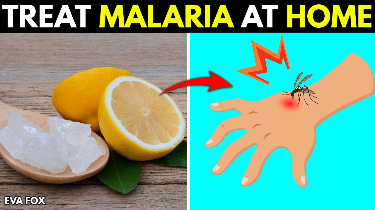 5 Natural Remedies To Treat Malaria At Home - YouTube