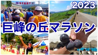 【巨峰の丘マラソン2023】入賞目指して走ったら過酷過ぎた！#28