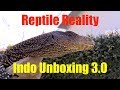 Reptile Reality-Indo Unboxing 3.0