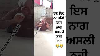 ਇਹ  ਨਾ ਕਹੇਉ ਹੁਣ ਕੀ ਇਹ ਅਸਲੀ ਨਾਗ ਨਹੀ ਆ 😂😂😂😂 #funny #funnymeme #meme #comedy #punajbivideos