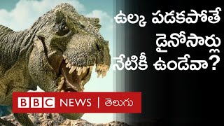 Dinosaurs: ఆ ఉల్క భూమిని ఢీకొట్టకపోతే డైనోసార్లు ఇప్పటికీ ఉండేవా? | BBC Telugu