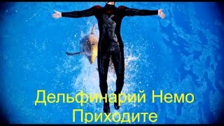 Dolphinarium Nemo in Yerevan