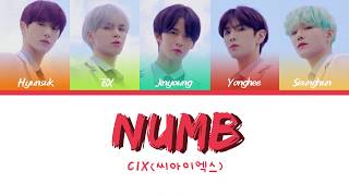 Cix 씨아이엑스 - Numb Color Coded Lyrics Engviehanrom