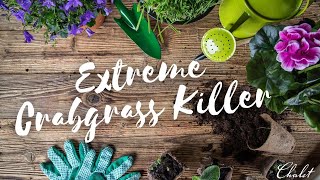 Chalet Recommends:  Extreme Crabgrass Killer | BioAdvanced Crabgrass Killer