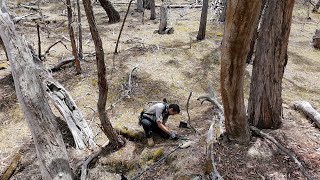 Gold Prospecting Deep In The Victorian Bush + Testing Out New Toy!