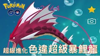 超級進化色違超級暴鯉龍pokemon go 2021/02/09