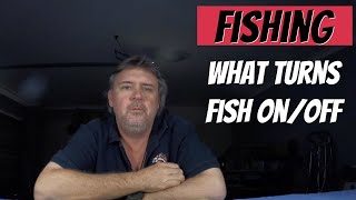 When is a good time to go fishing / Offshore and Inshore