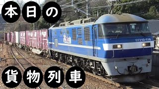 【本日の貨物列車】No.941　2023,6,4　第5050番列車　Today‘s freight train　カンガルーライナー！