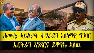 ERISAT:#news | ሐመቲ፡ ሓይልታት ትግራይን እስላማዊ ግንባር ኤርትራን ኣንጻርና ይዋግኡ ኣለዉ #eritrea #tigrinya #tigray #ethiopia