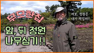 [무모한집] 아나운서 윤영미입니다!! 정말 나무심기 전과 후가 이렇게 달라질 줄은...!! 여러분, 집에 꼭 나무심으세요. 분위기 완전 좋아져요.