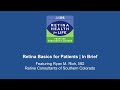 Retina Basics for Patients | In Brief