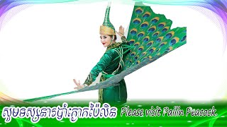 សូមទស្សនារបាំក្ងោកប៉ៃលិន | Please visit Pailin Peacock.