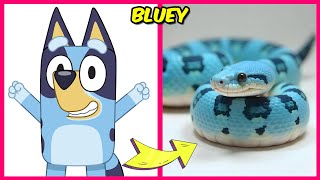 🐾🐩 Bluey Movie Characters As Snakes 🐍 + Their Favorite Drinks, Snacks, Movies \u0026 More! | Coco, Pompom