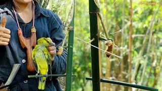 สาวดอย ทำกับดักนกได้ผนจีงสุดยอดมาก Hunting trap using bamboo branches